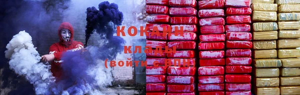 гашик Куйбышев